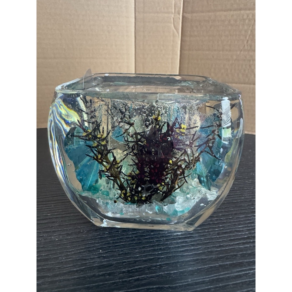 Butterfly Gel Candle  Burns Clear Burns‎ Clean Beautiful - Picture 6 of 13